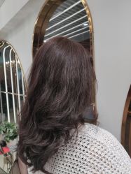 -BULB STUDIO 巴柏明星发型工作室