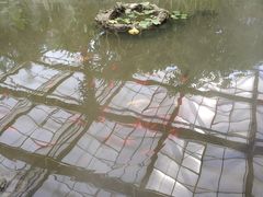 -南通洲际绿博园