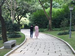 -金花茶公园