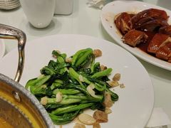 -老广酒楼(樱花店)