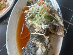 -坛南湾阿强农家乐.海鲜大排档老字号(福州地标美食店)