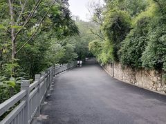 -攀枝花公园