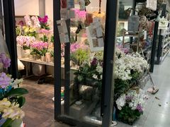 -东风国际花卉市场