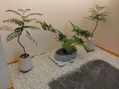 -小仙女采耳·按摩·SPA(深圳旗舰店)