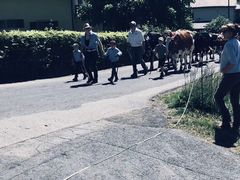 -龙疆湖