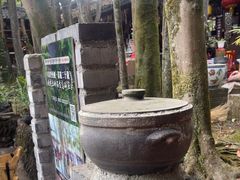 -土砂锅生态山庄·非遗砂锅雅鱼
