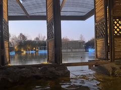 -春晖园度假酒店温泉