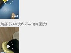 -派美特宠物医院·核磁CT·骨科肿瘤·疑难转诊(沈农禾丰店)