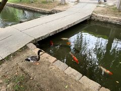 -春风习习