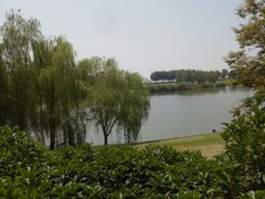 -青枫公园