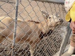 -宿豫区运河湾森林动物园