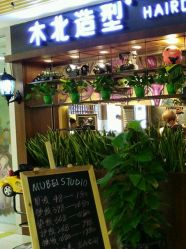 -木北护肤造型