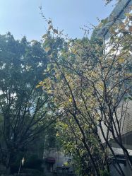 点击看大图 -金芙美月子中心(财富别墅店)