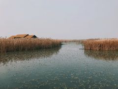 -宁波杭州湾国家湿地公园