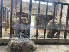 -石家庄市动物园