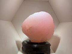 -安徽省地质博物馆