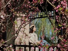 -莫愁湖公园
