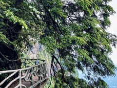 -瓦屋山景区