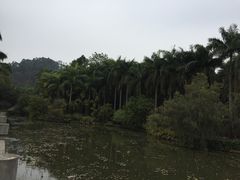 -滴水岩森林公园