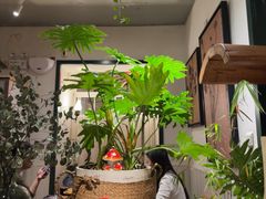 -懒人盐府人家·自贡大麻鱼(安贞店)