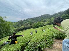 -敬亭山风景名胜区