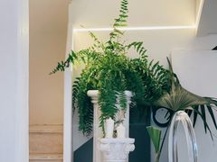 -伊斯坦布尔土耳其清真咖啡餐厅