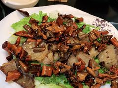 -野菌皇海景野生菌火锅(滨海大道店)
