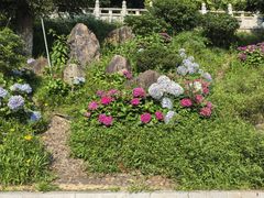 -莆田南少林寺