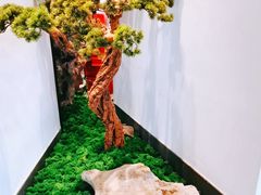 -松鹤楼·非遗·苏帮菜(融科店)