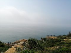 -广东惠东海龟国家级自然保护区