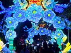 -欢乐海岸椰林沙滩-2025湾区超级灯会