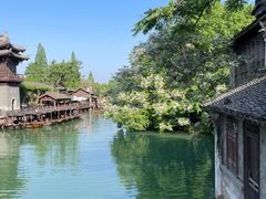 -乌镇西栅景区