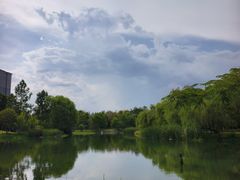 -洋湖国家湿地公园