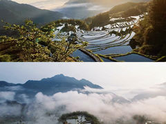 -唐人街干锅烧烤