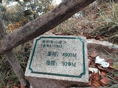 -梧桐山风景名胜区