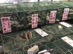 -荔城生鲜盛宴(番禺旗舰店)