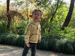 -杭州半山国家森林公园