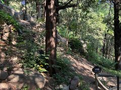 -泰山风景名胜区