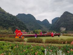 -靖西鹅泉风景区