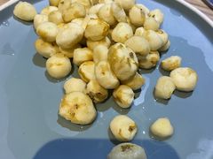 -探窝·竹笙椰子鸡(杨箕店)