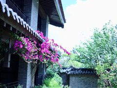 -丽江松赞酒店-餐厅