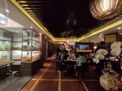 -甄御•海鲜新青岛菜(麦岛店)