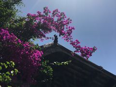 -生宇山珍野生菌汤锅•始于1999(双流古塔店)
