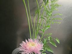 -大拙里·精致融合菜(沙湖桃源国际店)