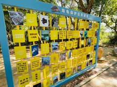-广东惠东海龟国家级自然保护区