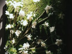 -仟汇足道·SPA(秀洲总店)