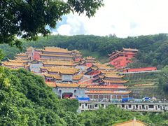 -东莞市大岭山森林公园