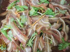 猪耳朵-狗撵鸭(泰山公寓店)