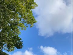 -荔香公园