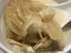 -凤城礼记鱼翅海鲜酒家(新马路总店)